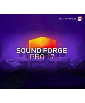 MAGIX Sound Forge Pro 17 Digital Download Key 